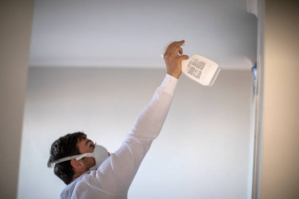 Best Mold Removal Near Me  in Kualapuu, HI