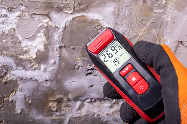 Best Mold Damage Repair  in Kualapuu, HI