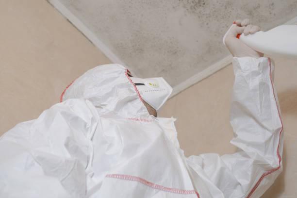 Best Emergency Mold Removal  in Kualapuu, HI