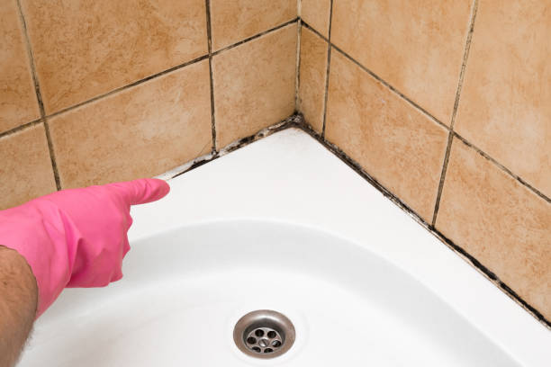 Best Mold Testing  in Kualapuu, HI
